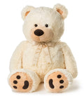 Cream Teddy Bear With Ribbon H807