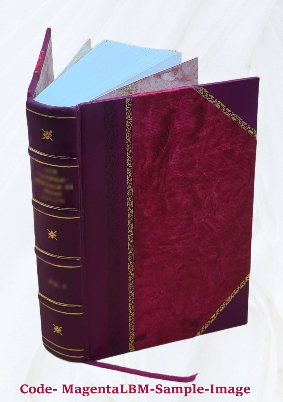 Alpha Sigma Phi Leather Bound Y2469