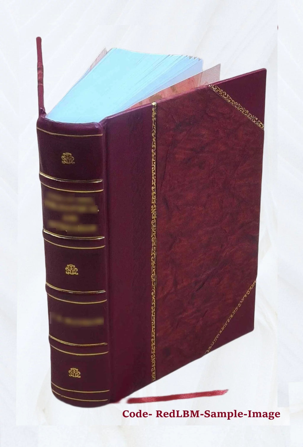 Alpha Sigma Phi Leather Bound Y2469