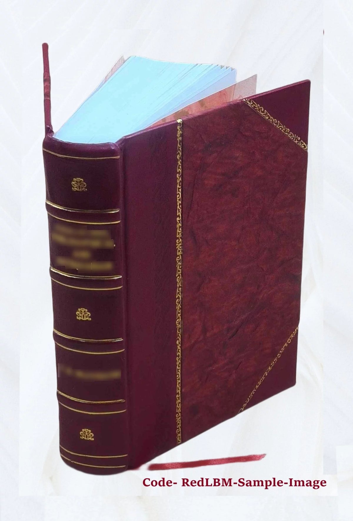 Alpha Sigma Phi Leather Bound Y2469