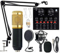 Podcast Microphone Bundle with Sound Card Q4359