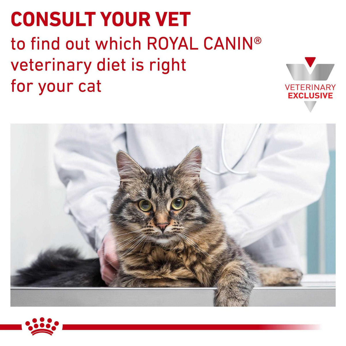 Veterinary Diet Dry Cat Food P691