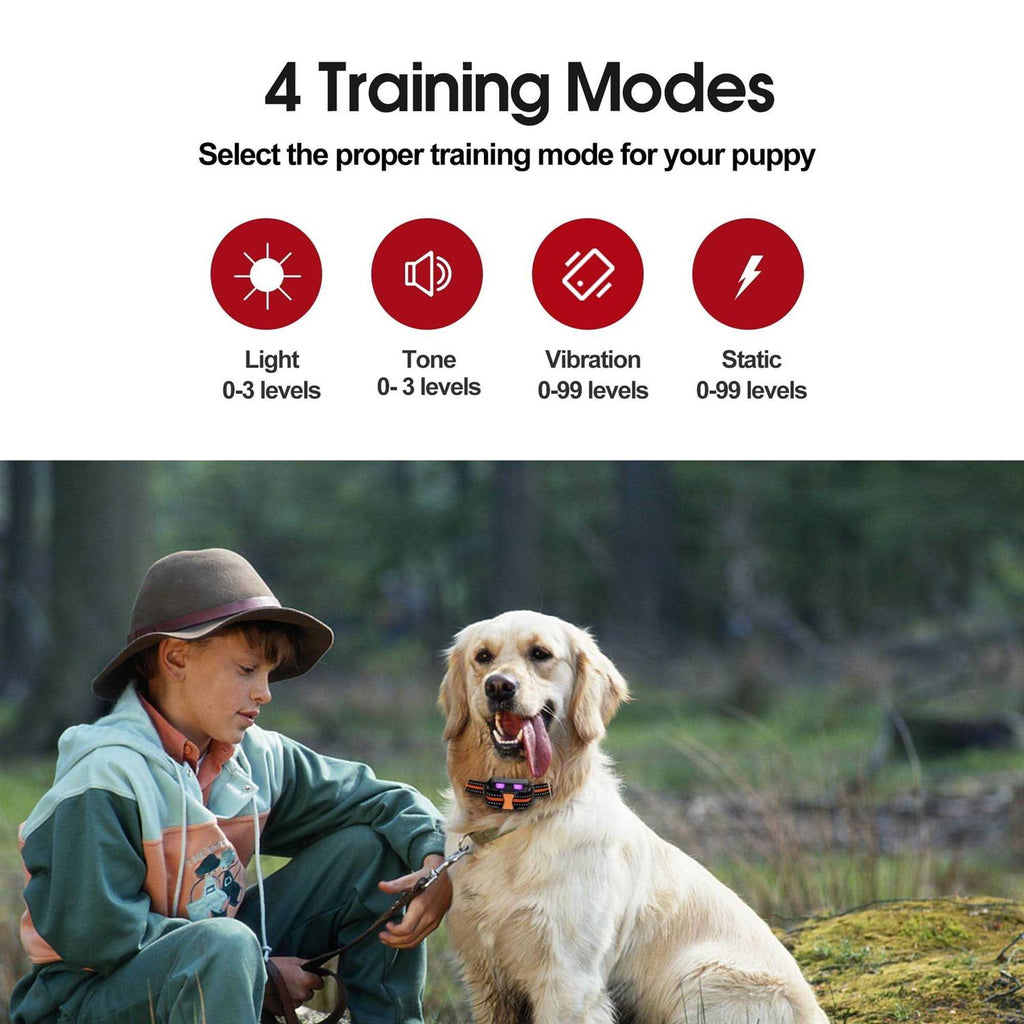 Remote Training Shock Dog Collar M336183