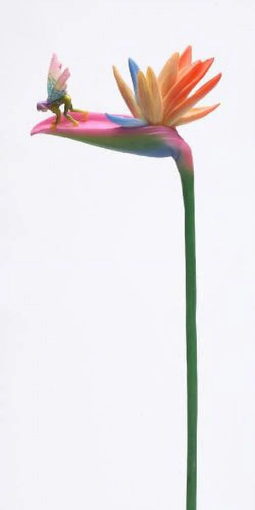 Bird of Paradise Statue Figurine F520