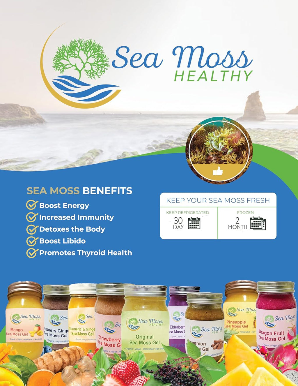 Blue Spirulina Blueberry Sea Moss Gel, 16 oz O5568