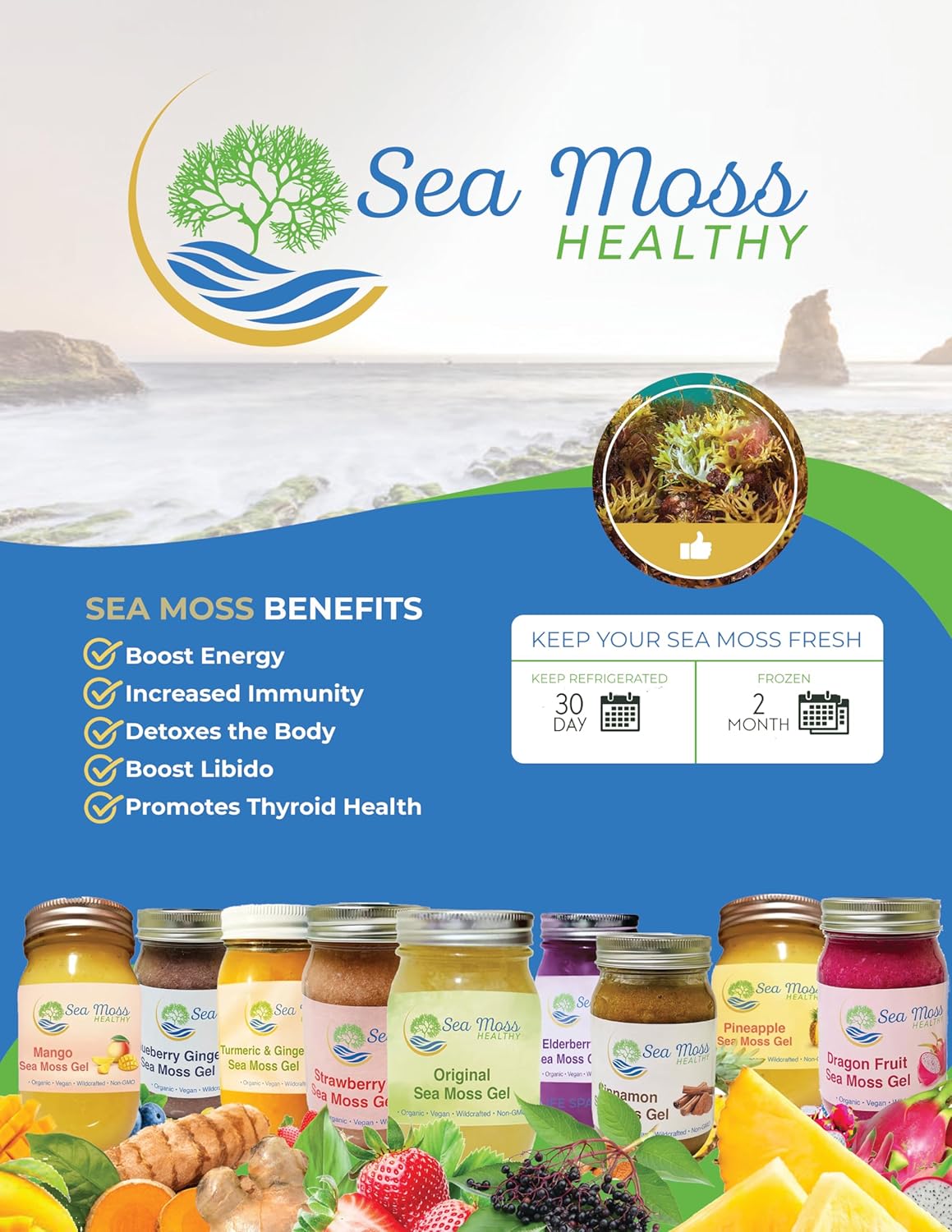 Blue Spirulina Blueberry Sea Moss Gel, 16 oz O5568