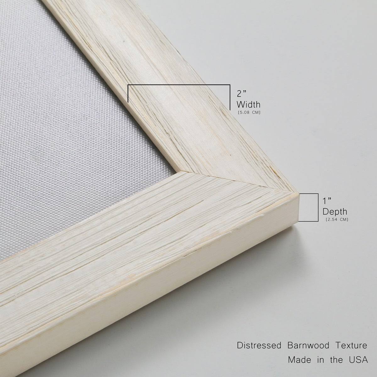 Framed Canvas S374