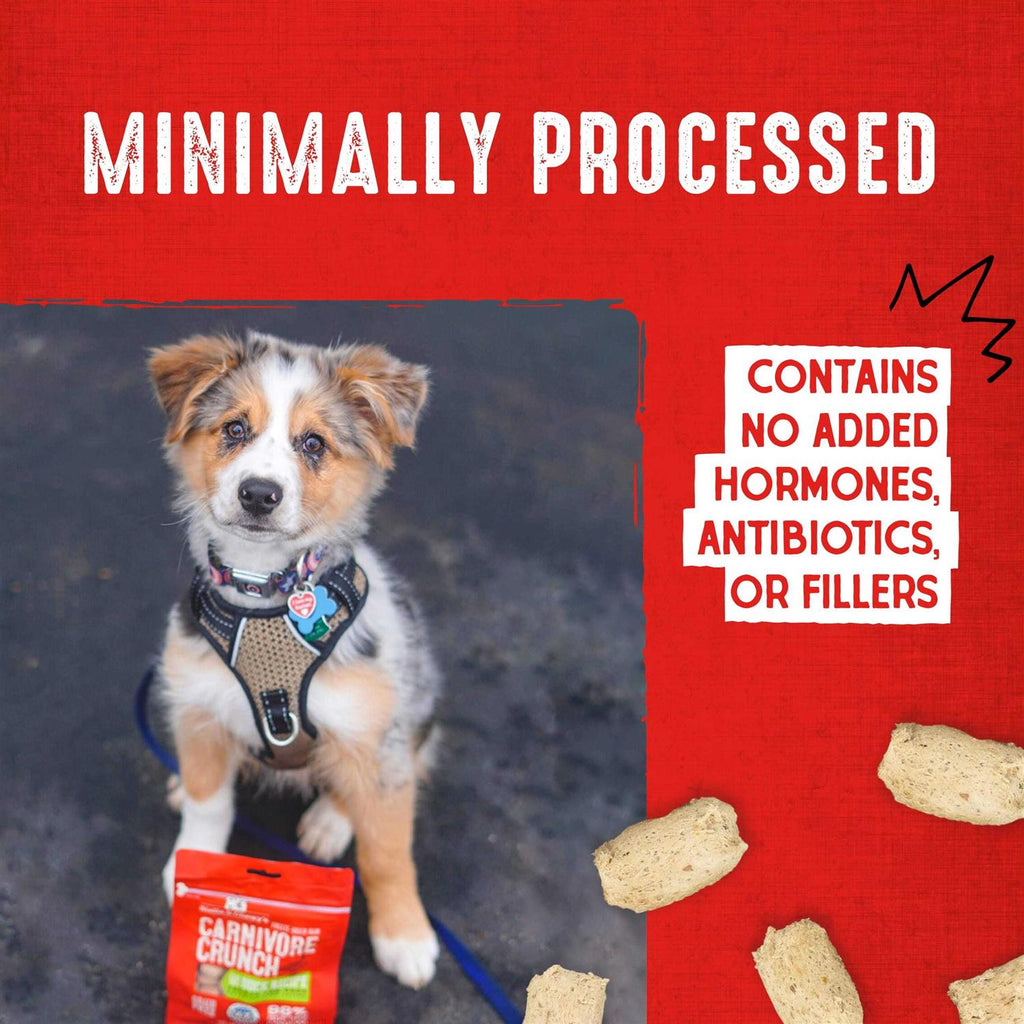 Chicken Dog Treats N762396