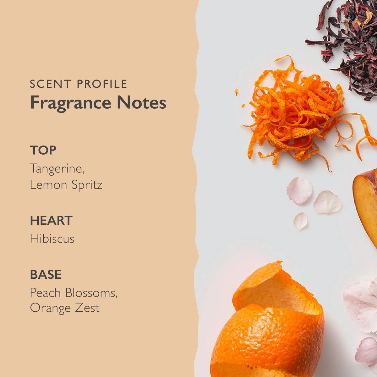 1.7fl Oz Fruity Perfume N55769