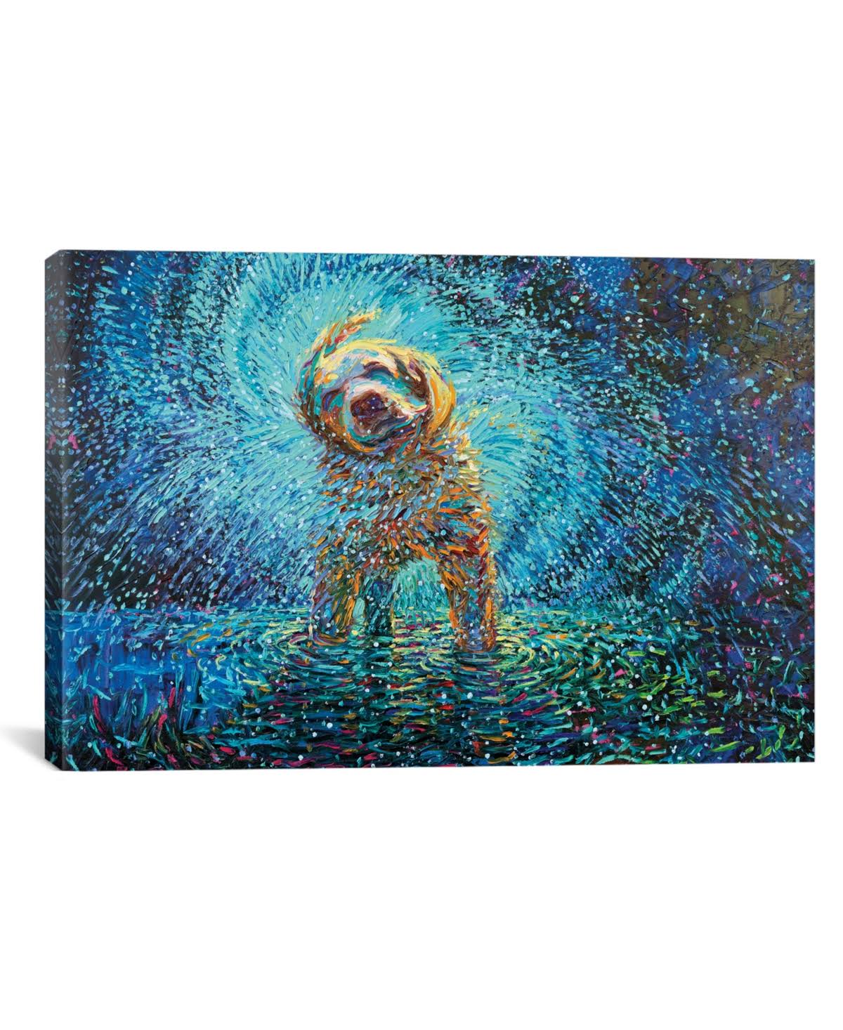 Labrador Jazz by Iris Scott C422