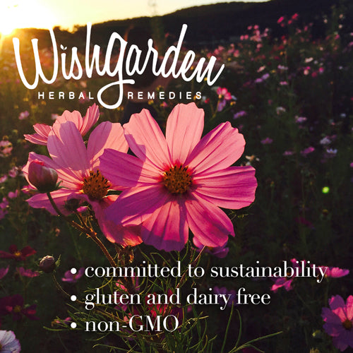 Deep Lung Herbal Formula 4 oz I347845