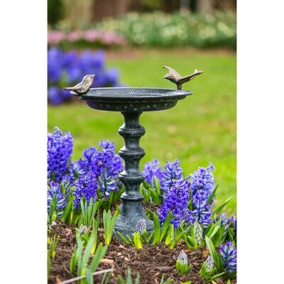 Cast Iron Birdbath Q584