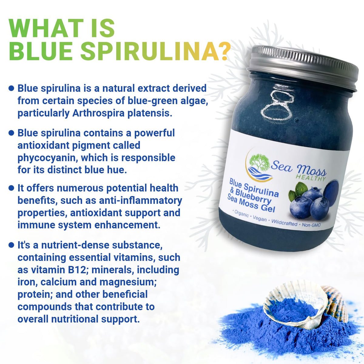 Blue Spirulina Blueberry Sea Moss Gel, 16 oz O5568