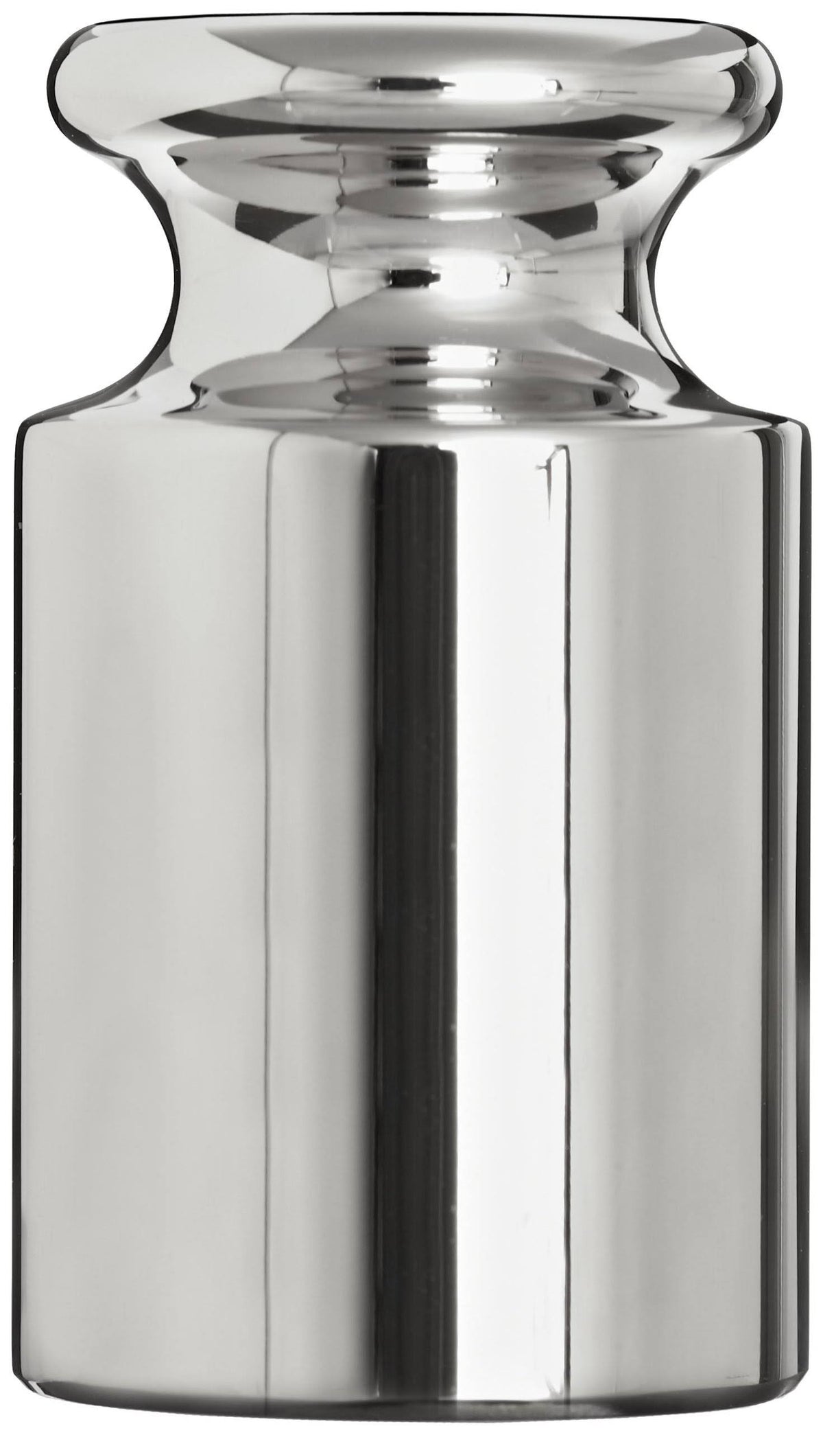 100g Stainless Steel ASTM Class 2 Calibration Weight R1531