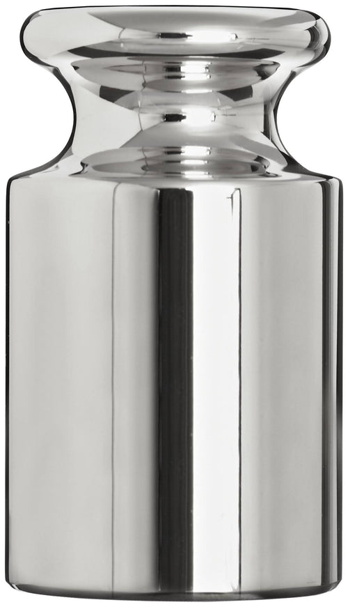 100g Stainless Steel ASTM Class 2 Calibration Weight R1531