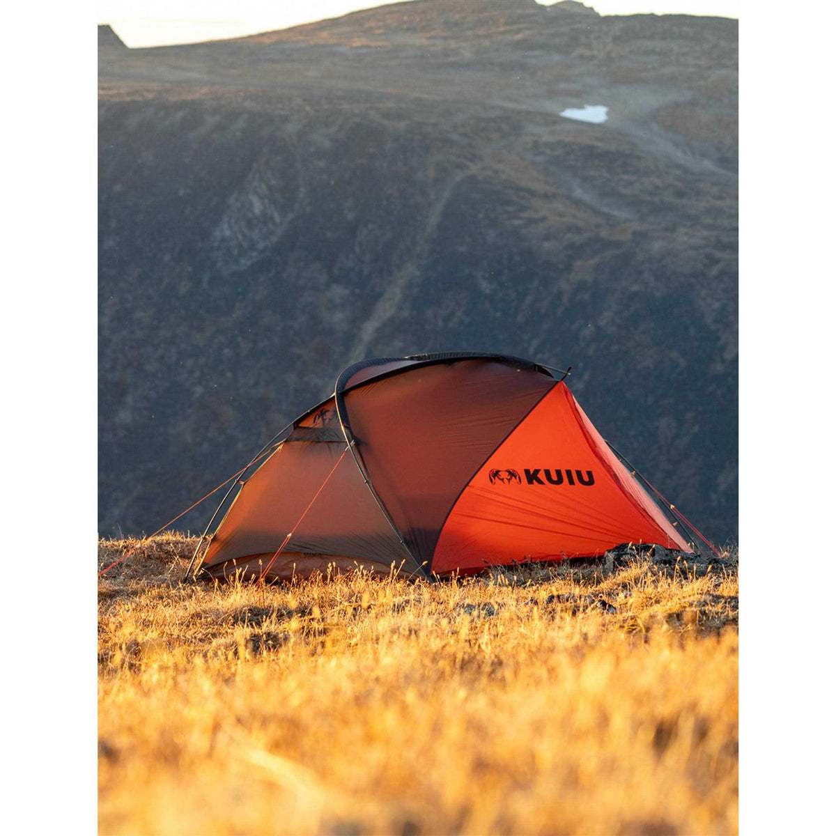 2 Person Tent U77684