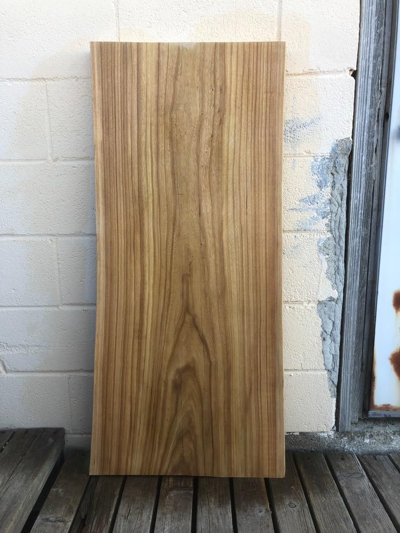 Thick Wood Slab, Live Edge Wood Slabs B534
