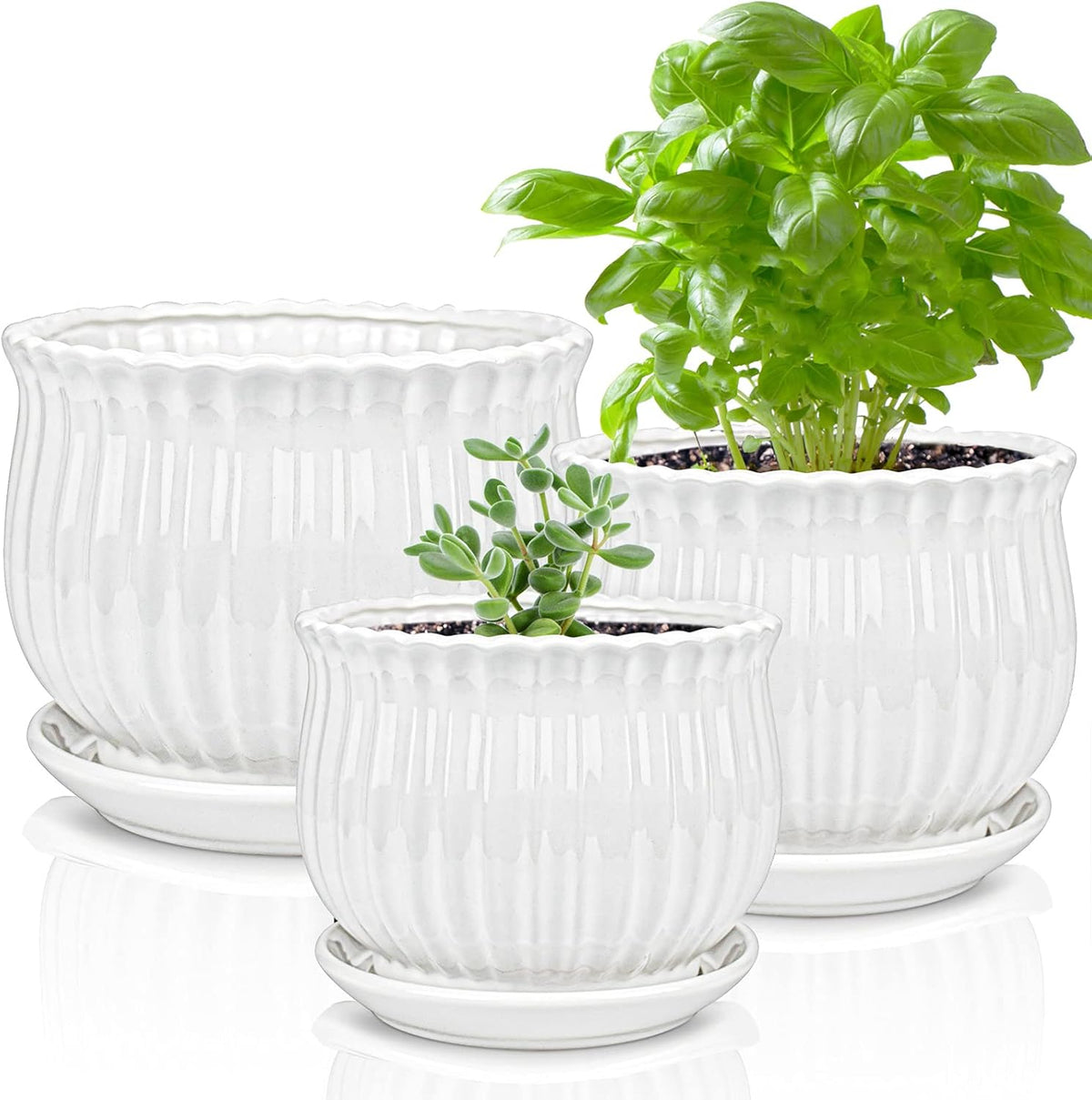 Ceramic Flower Plant Pots with Saucer, Set of 3 in Different Sizes A501319