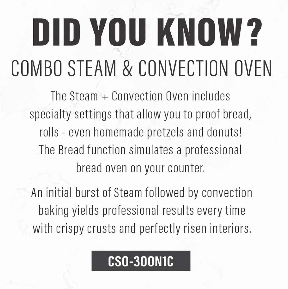 Silver Convection Oven D125