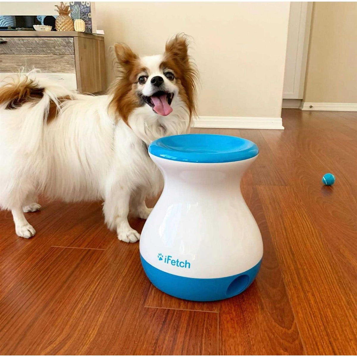 Dog Toy I55748