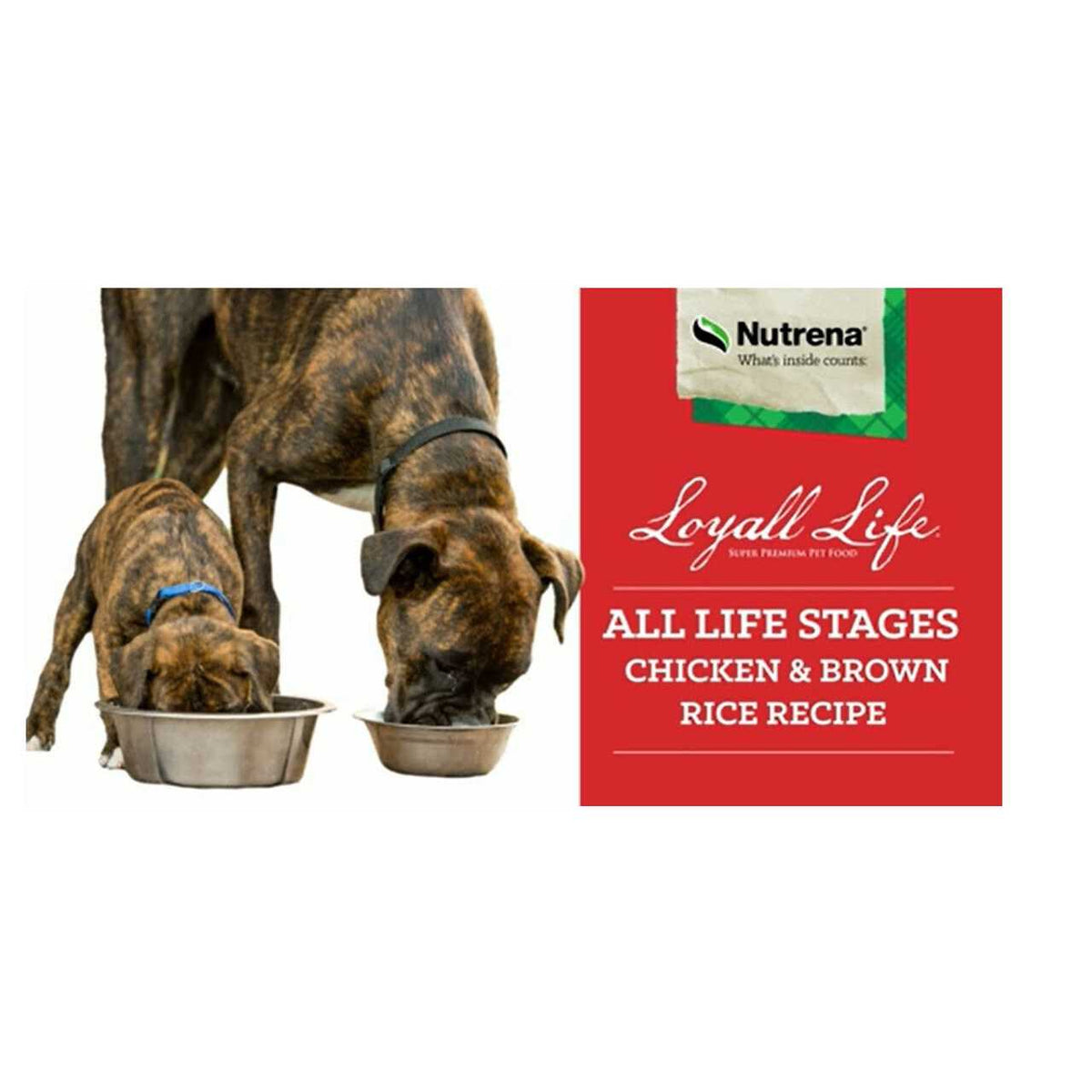 Chicken Brown Rice Dog Food D98865