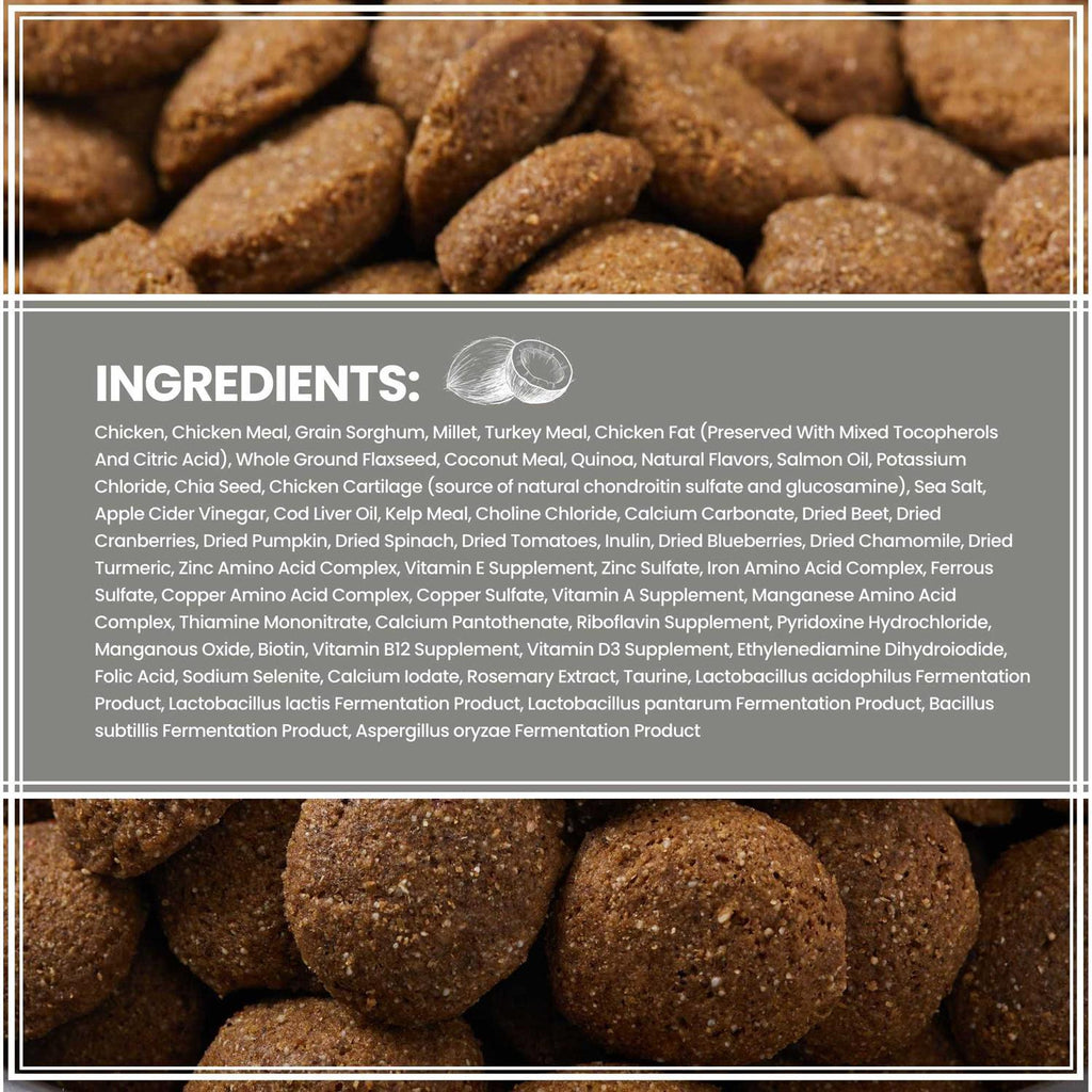 Ancient Grains with Chicken Dog Food X190