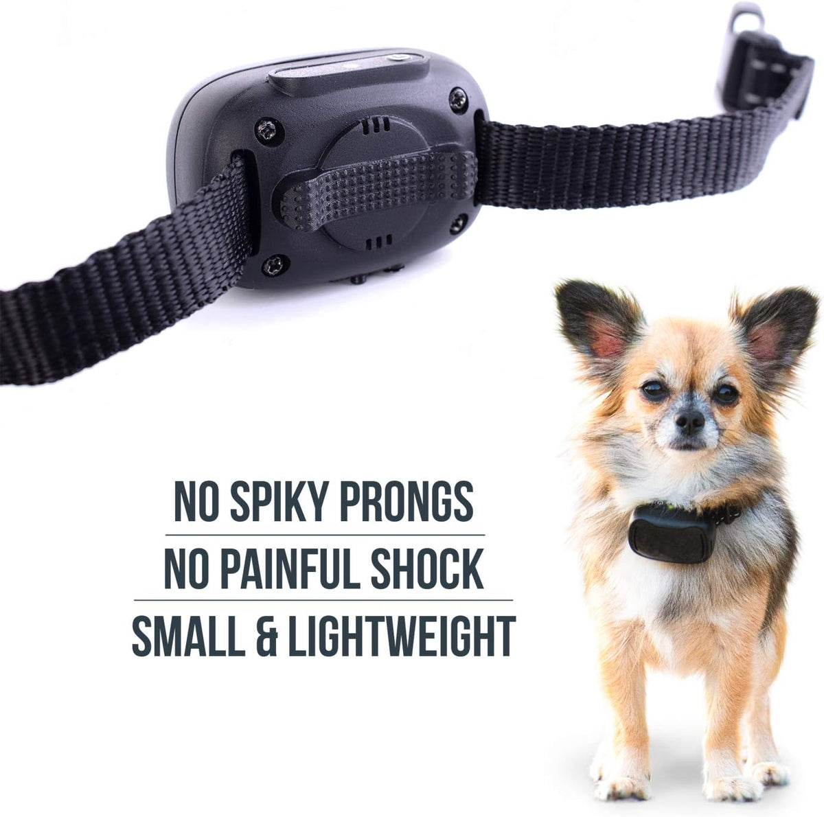 Dog Remote Collar Pack of 2 S28930