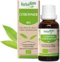 Herbal Gem O684857