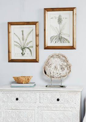 Large Black and White Vintage Botanical Prints in Natural Wood Frames Set X965