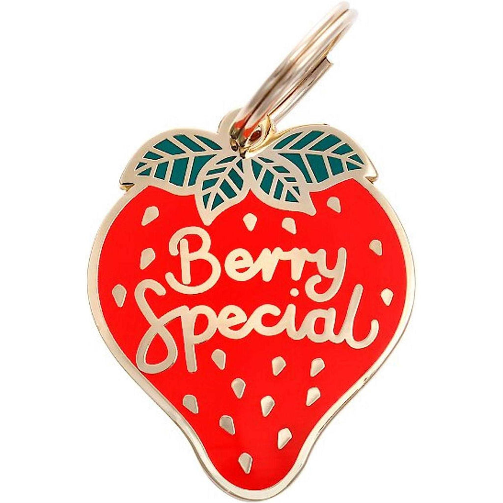 Pet ID Tag N48143