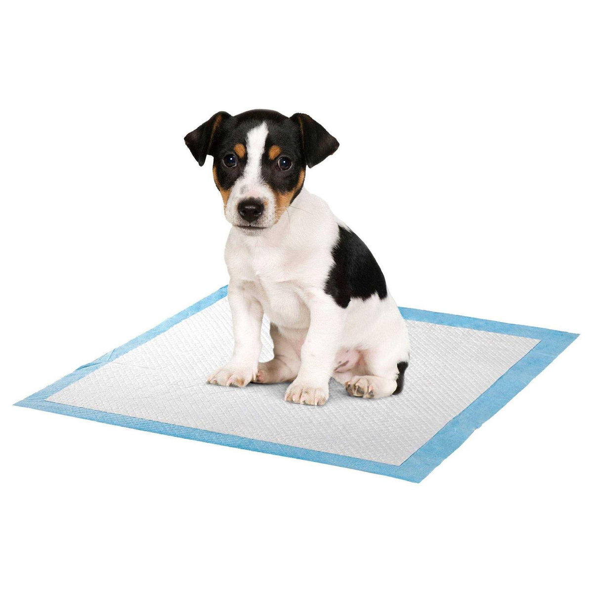 Pet Potty Pads 100 Pack Q21458