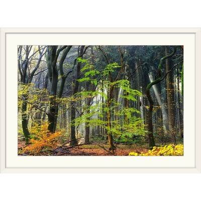 White Frame Photographic Print W693