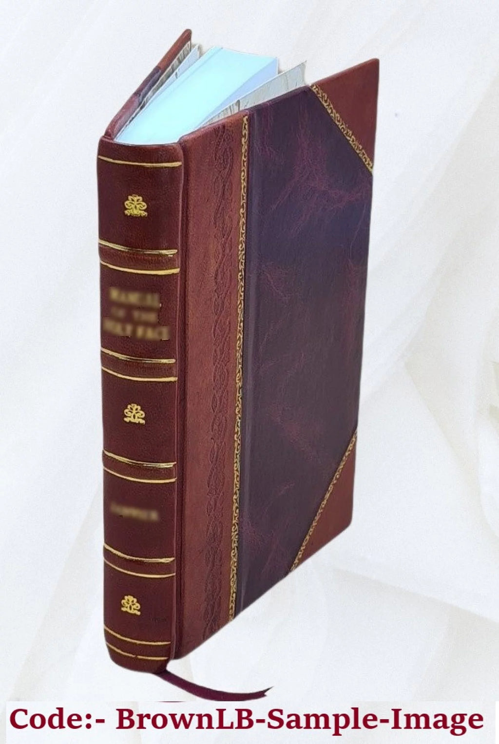Leather Bound I3132