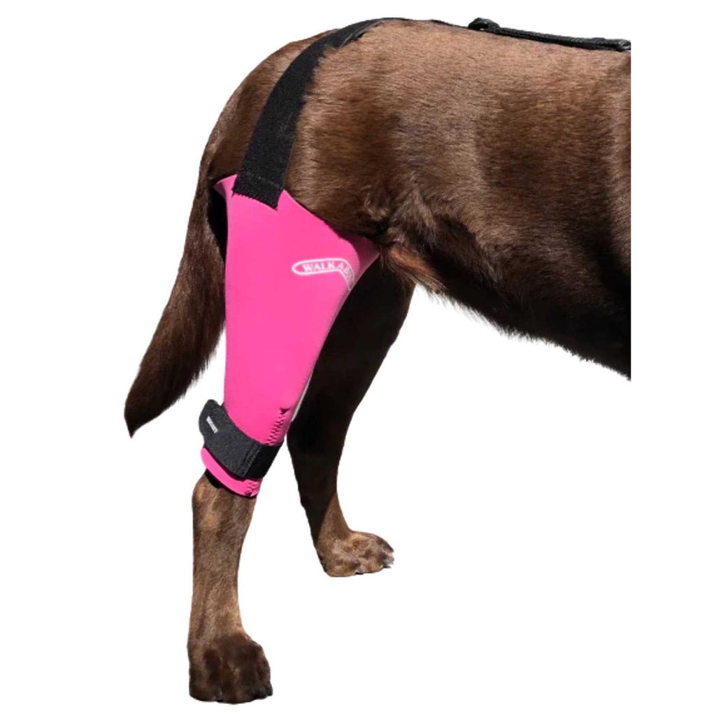 Dog & Cat Knee Brace Q667