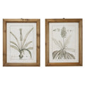 Large Black and White Vintage Botanical Prints in Natural Wood Frames Set X965