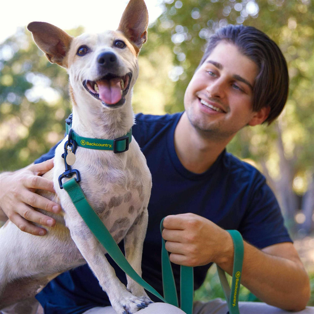 Dog Collar U154