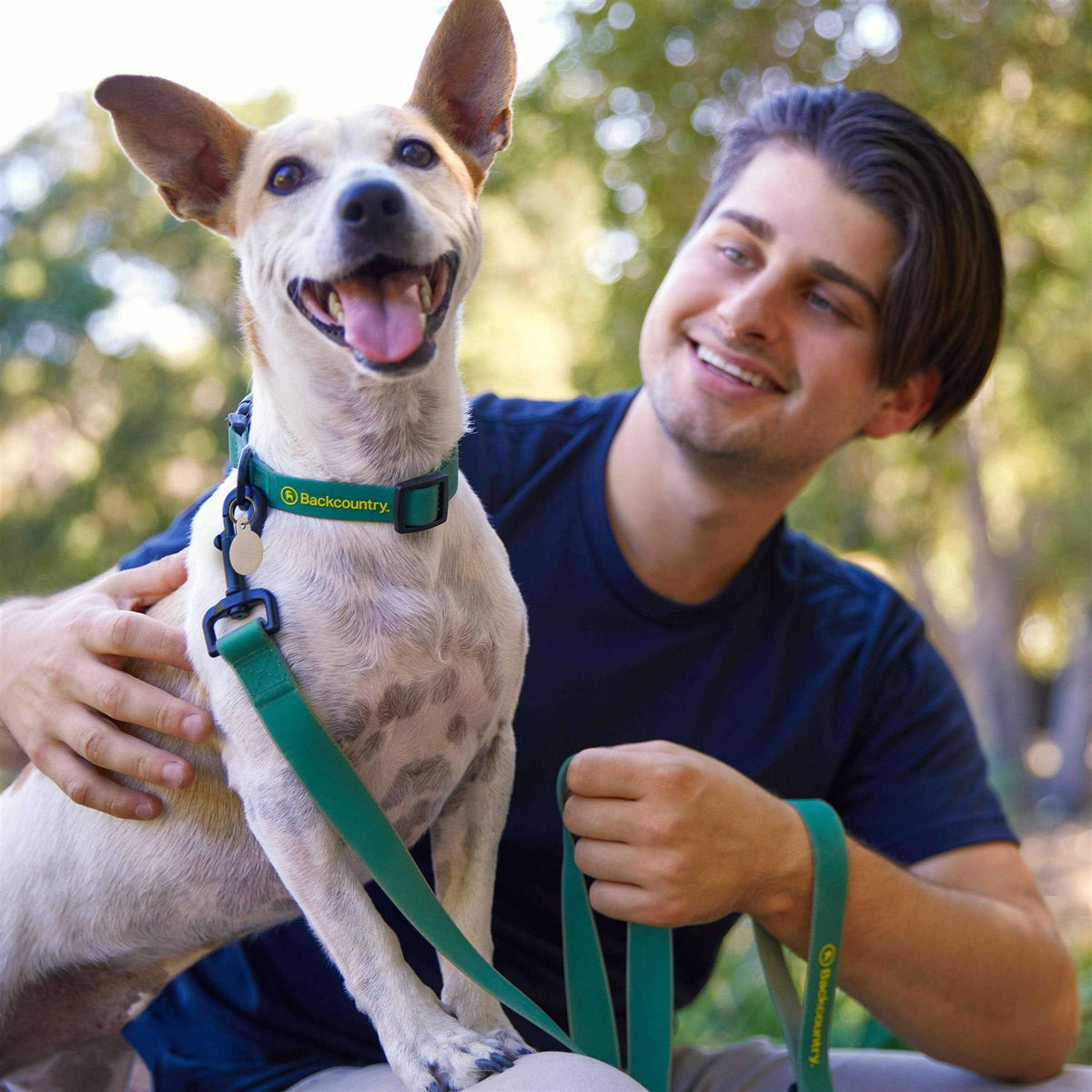 Dog Collar U154