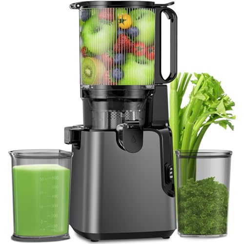 Cold Press Slow Masticating Juicer with 5.8" Feed Chute G625616