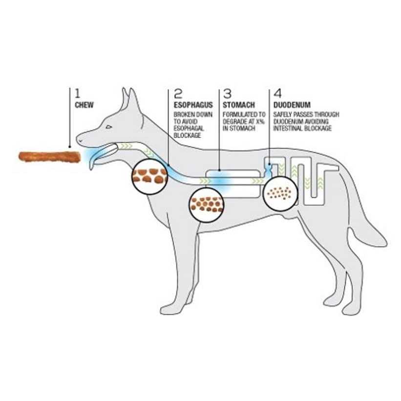 Dog Chews + Collagen Recipe Q544