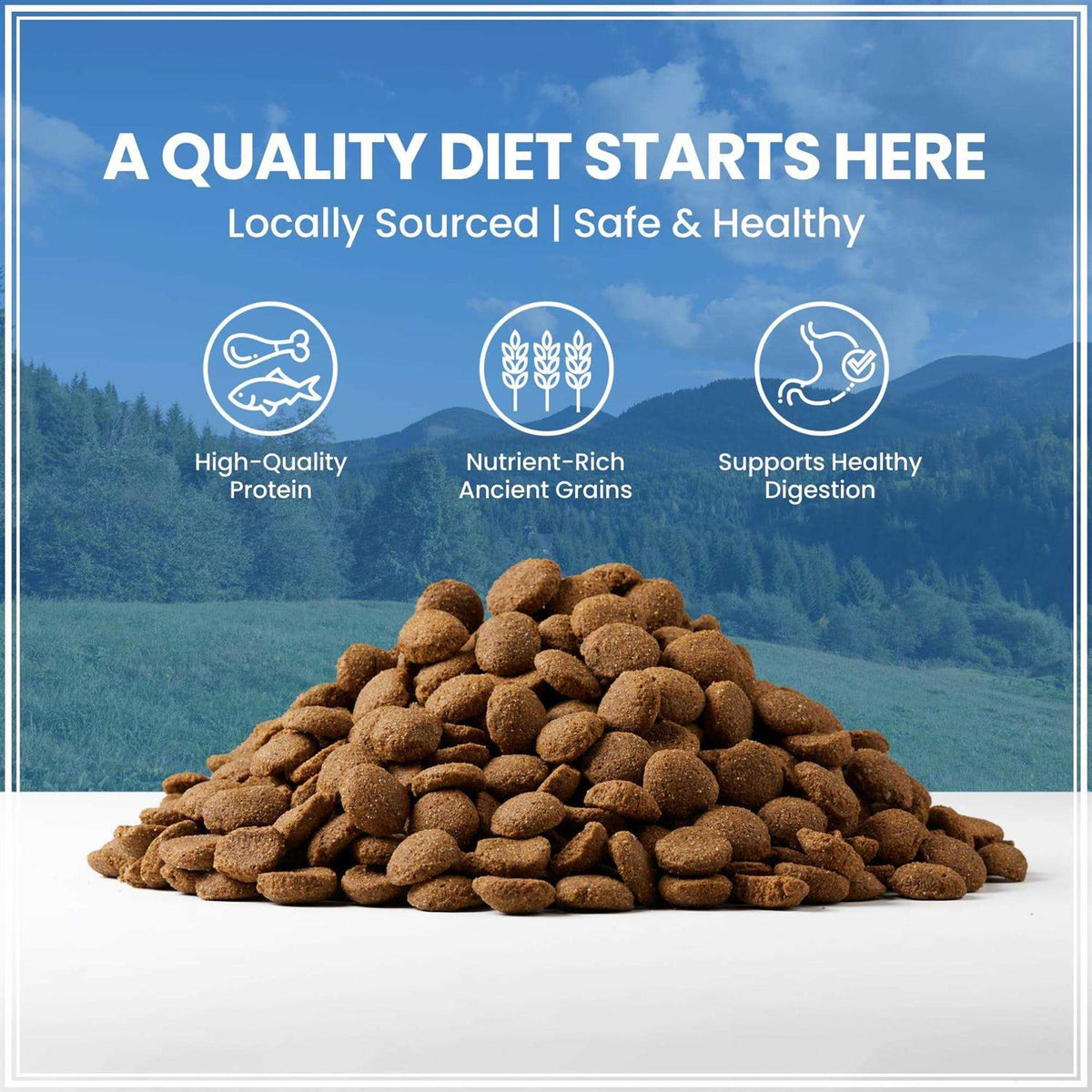 Ancient Grains with Chicken Dog Food X190