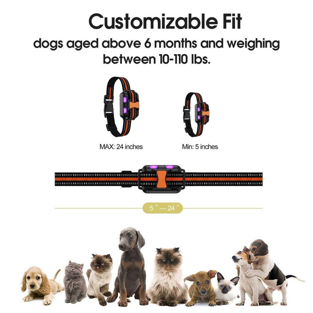 Remote Training Shock Dog Collar M336183