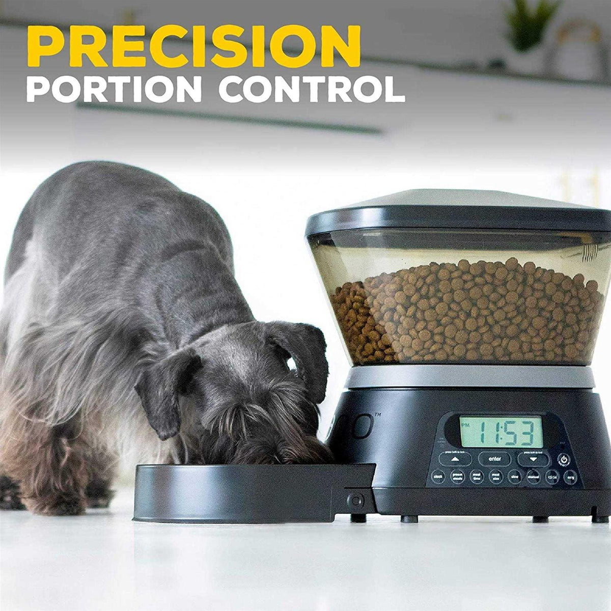 Automatic Pet Feeder D263151