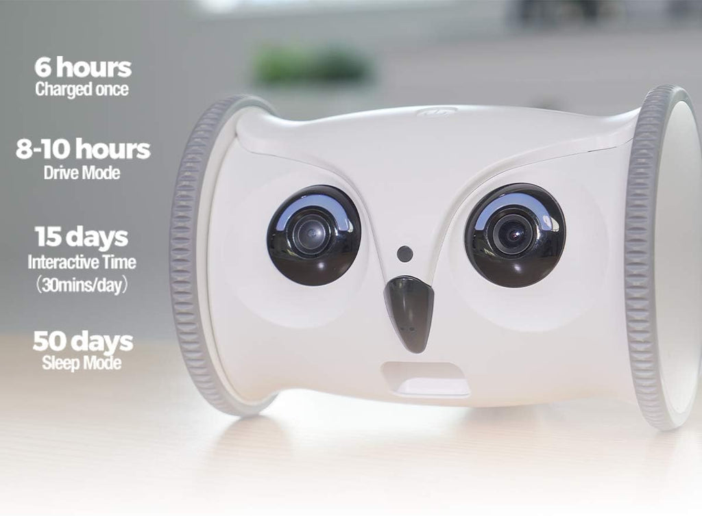 Owl Robot Pet Camera with Treat Dispenser K16091