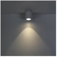 LED Flush Mount C1664