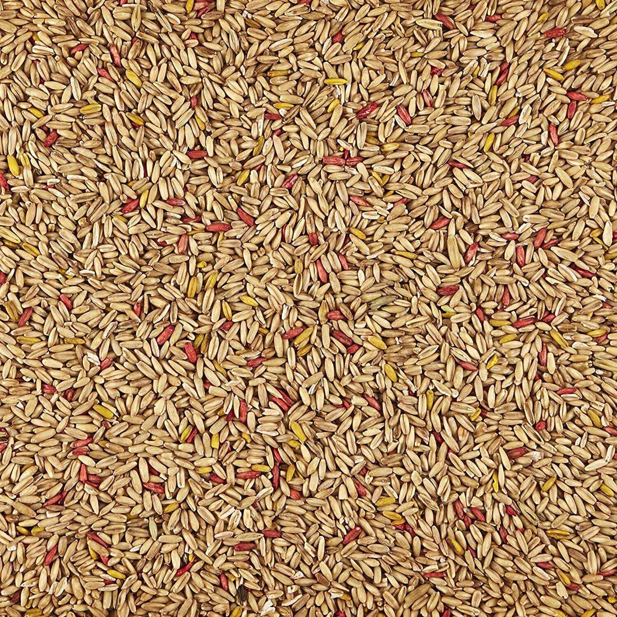 Oat Groats Treat Y78279