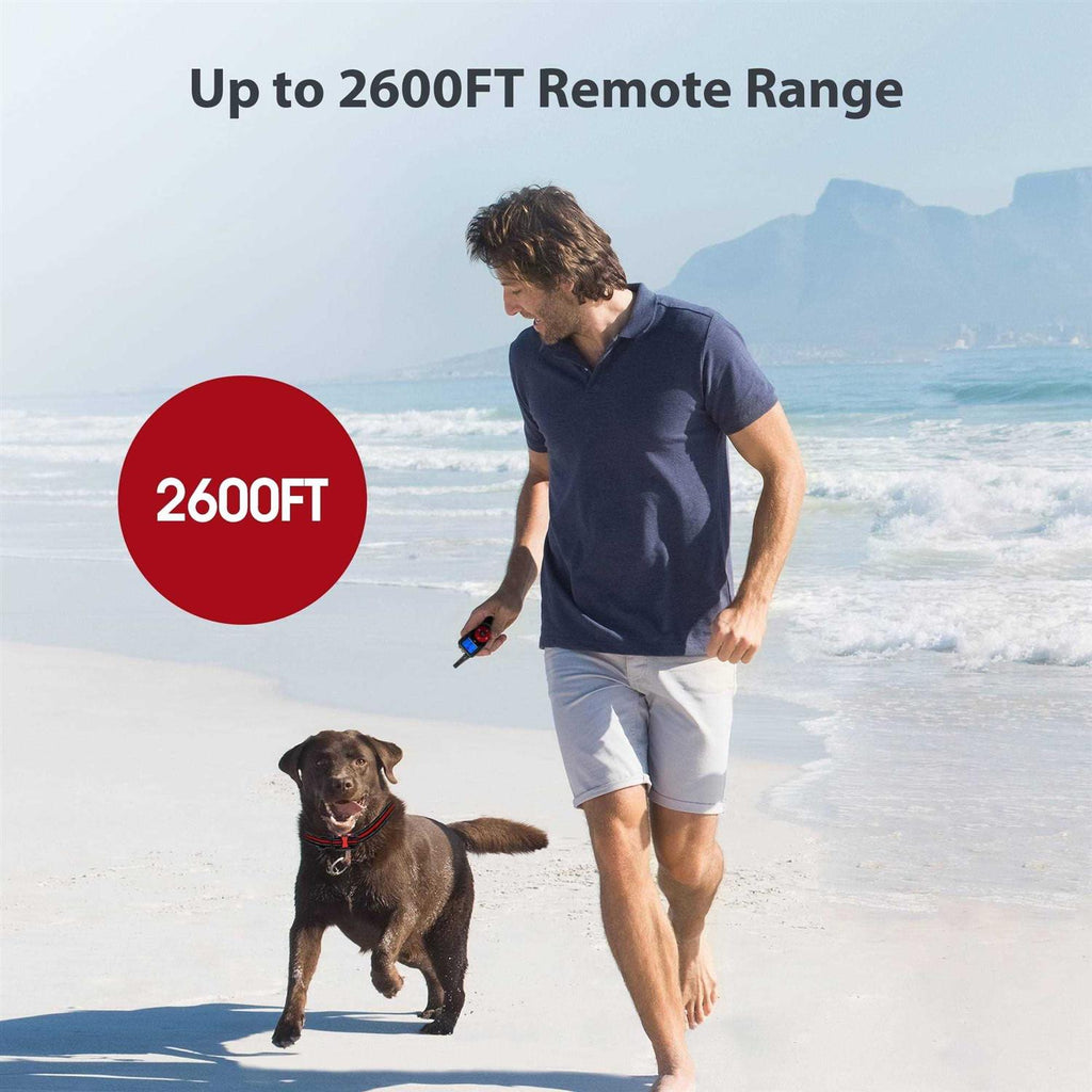 Remote Training Shock Dog Collar M336183